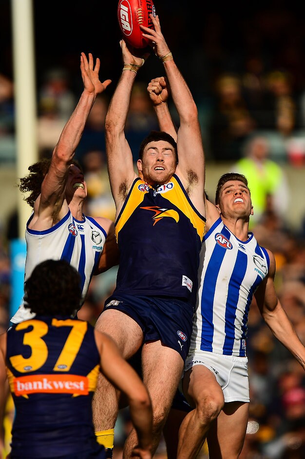 AFL 2016 Rd 16 - West Coast v North Melbourne Will the Eagles' greater experience give them the edge? - ${keywords}